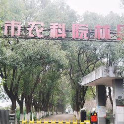 树木修剪，受武汉农科林果所委托，树
